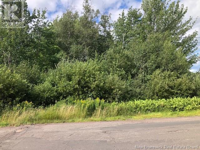 Photo 2 of 740 Des Dallaires, Saintemariedekent NB