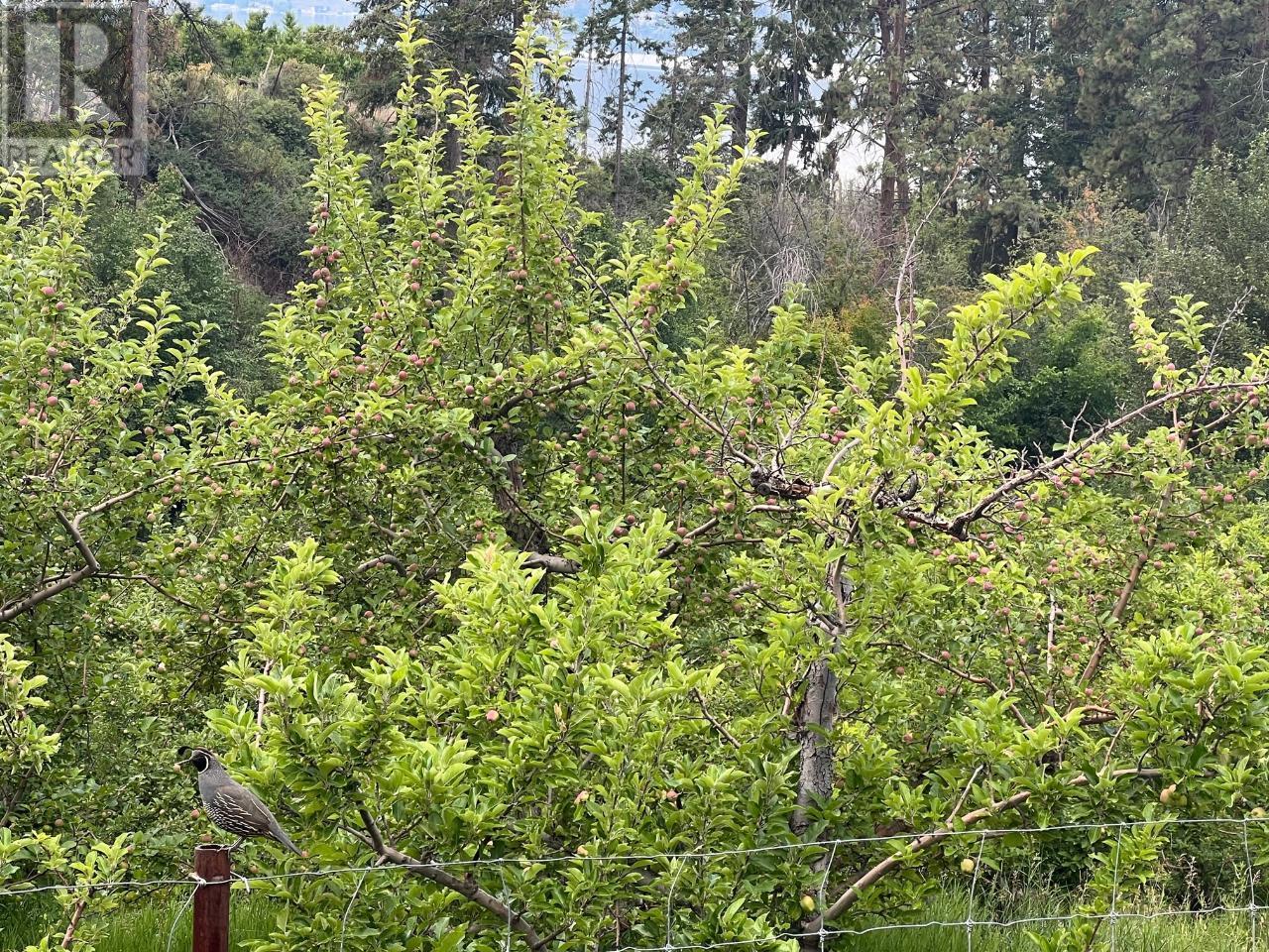 4855 North Naramata Road, Naramata