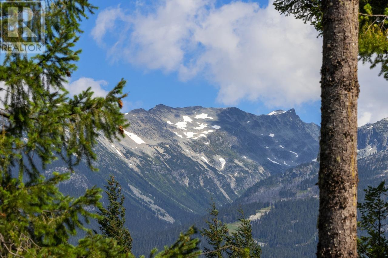 8328 NEEDLES DRIVE, Whistler