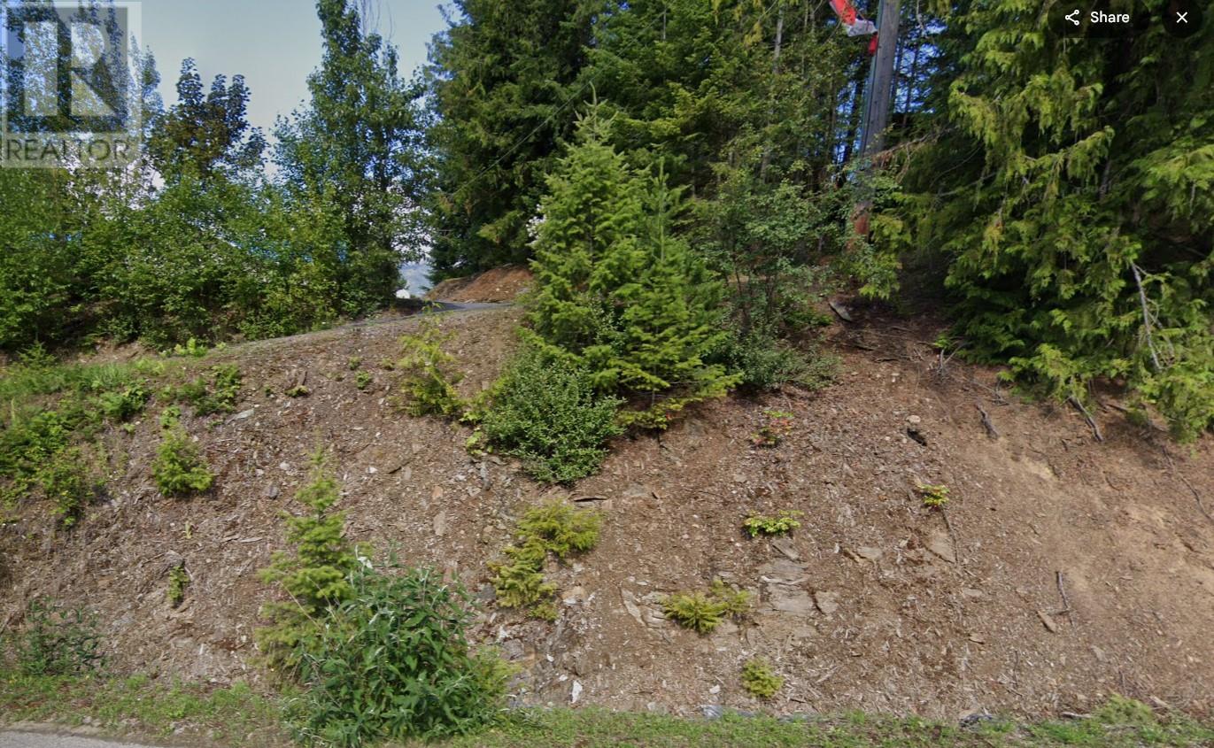 13596 Mountain Shores Road, Boswell