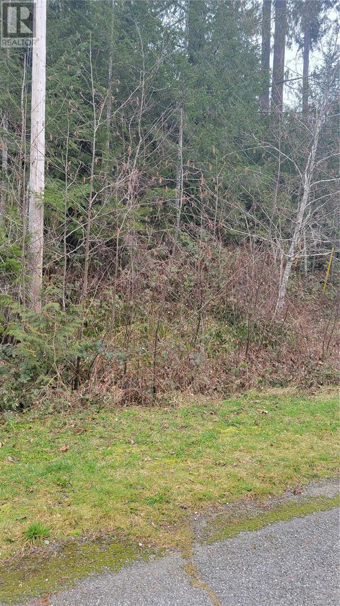 10345 Bishop Dr, Port Alberni real estate listing 989426