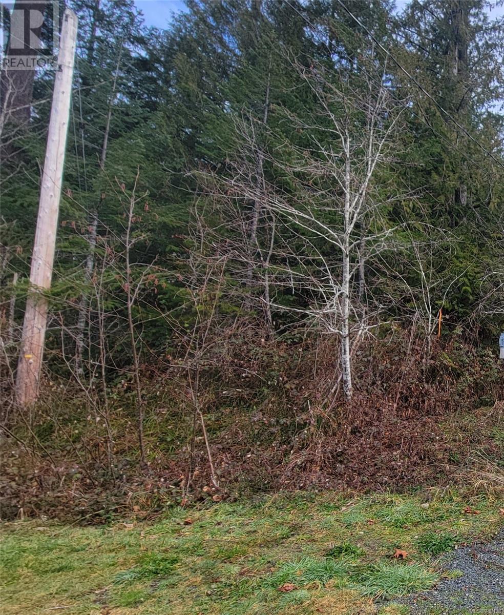 10345 Bishop Dr, Port Alberni real estate listing 989426