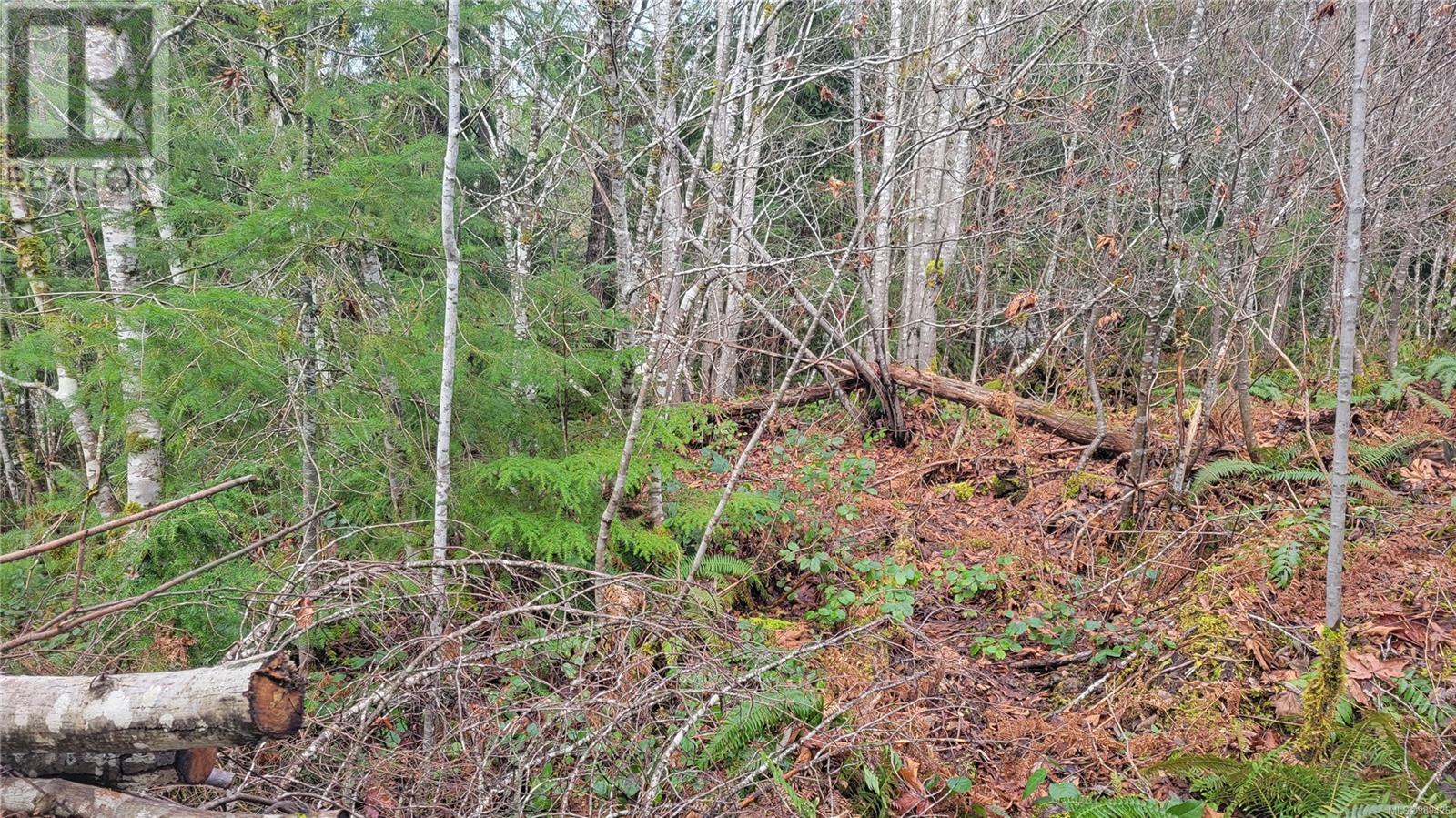 10345 Bishop Dr, Port Alberni real estate listing 989426