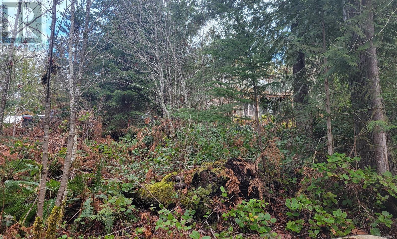 10345 Bishop Dr, Port Alberni