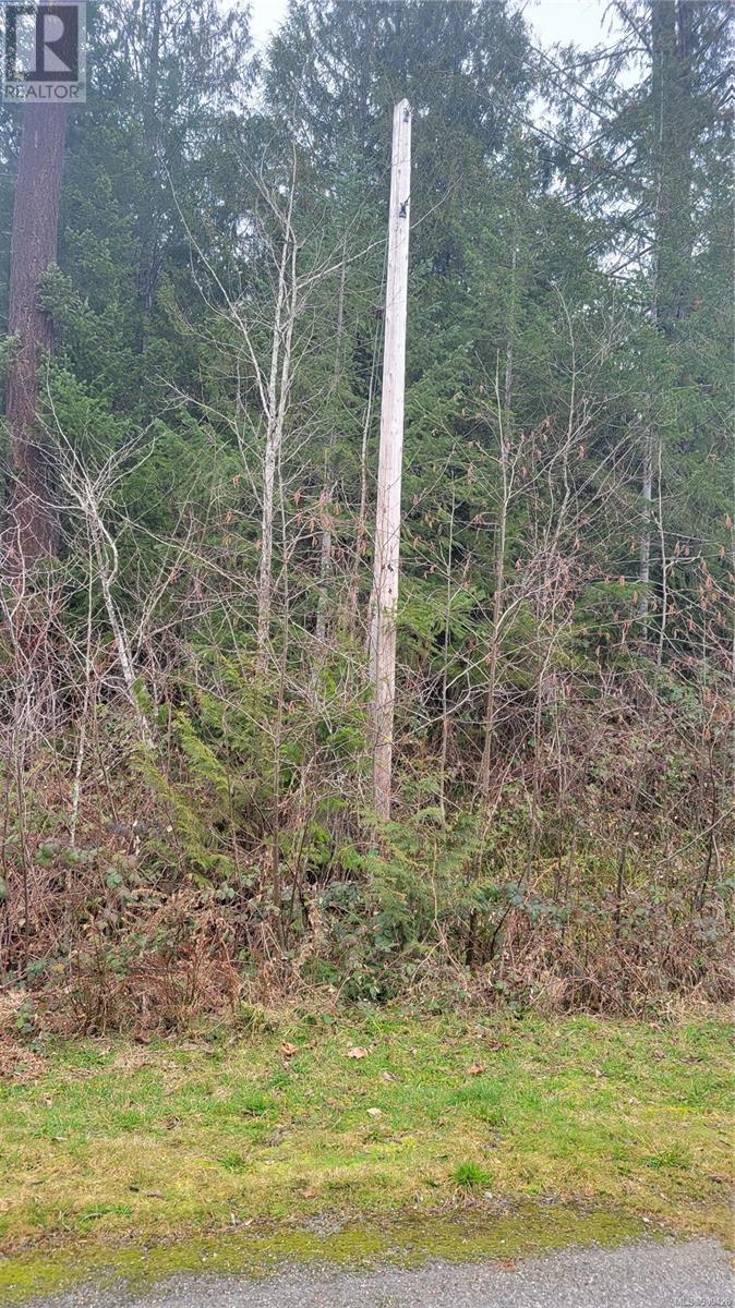 10345 Bishop Dr, Port Alberni real estate listing 989426