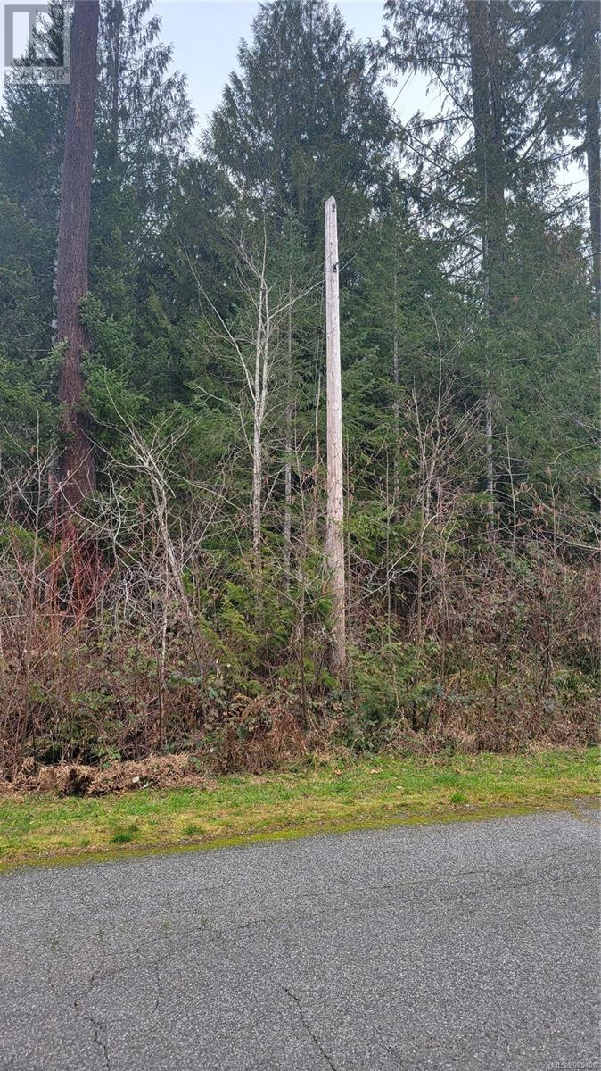 10345 Bishop Dr, Port Alberni real estate listing 989426
