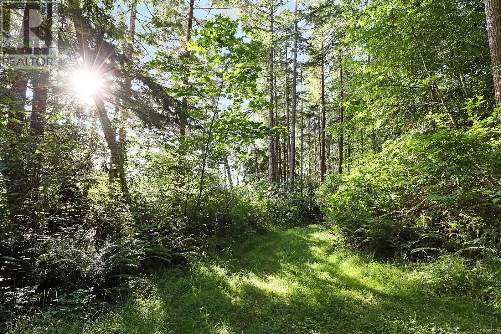 6520 Eagles Dr, Courtenay real estate listing 989225
