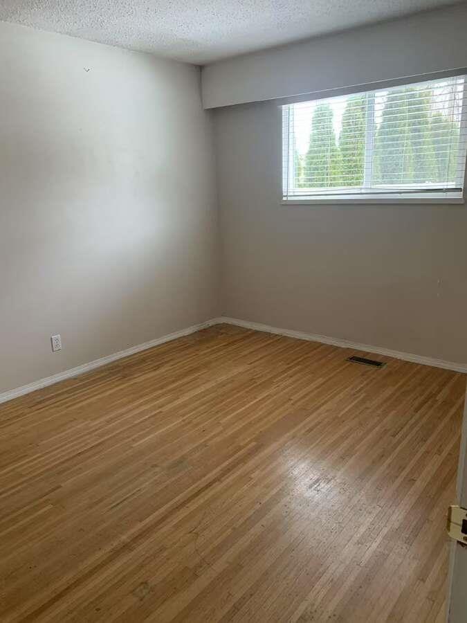 10854 BRANDY, Delta