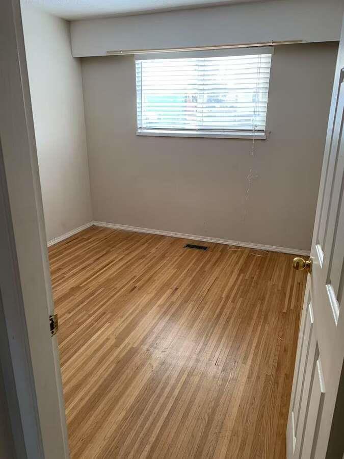 10854 BRANDY, Delta