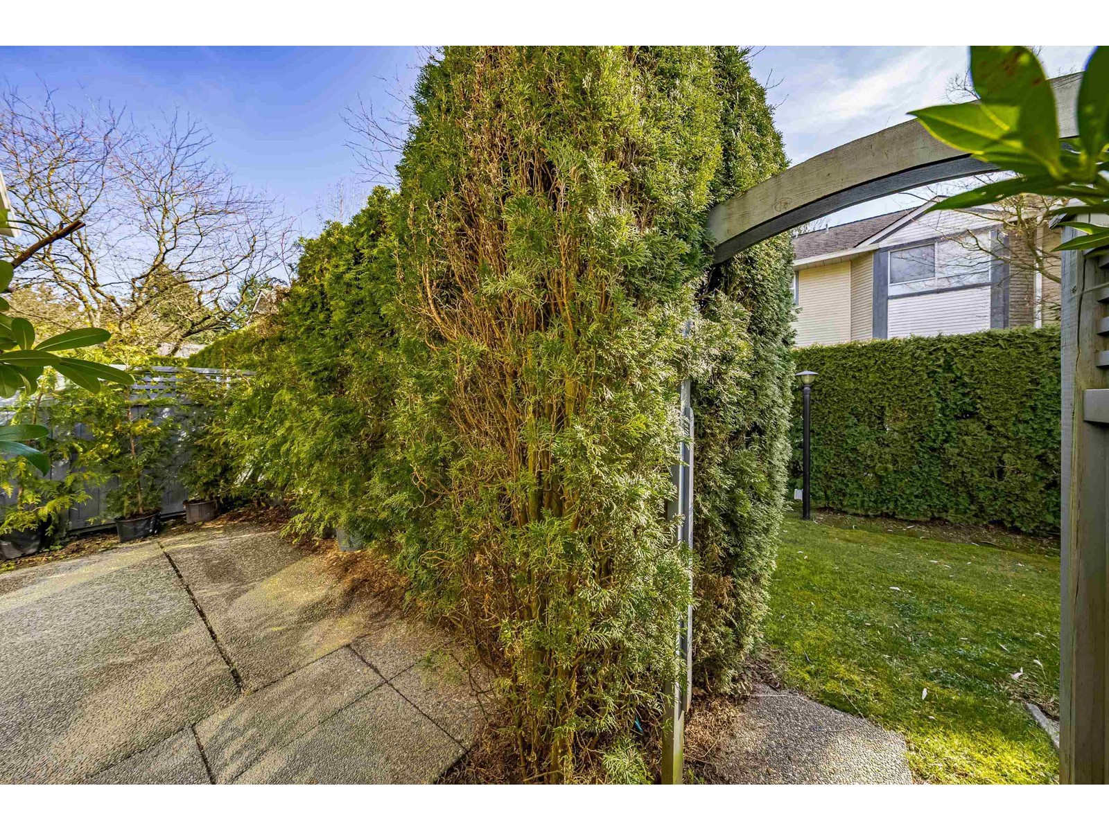 113 10538 153 STREET, Surrey real estate listing R2972113