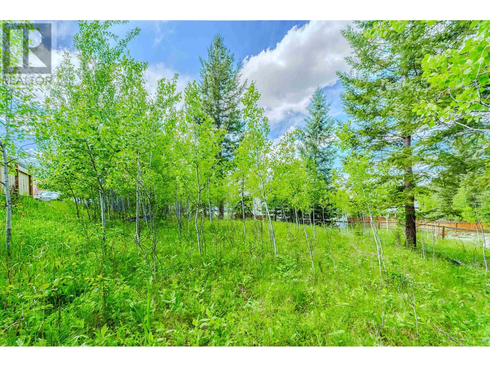 935 FRASER AVENUE, 100 Mile House