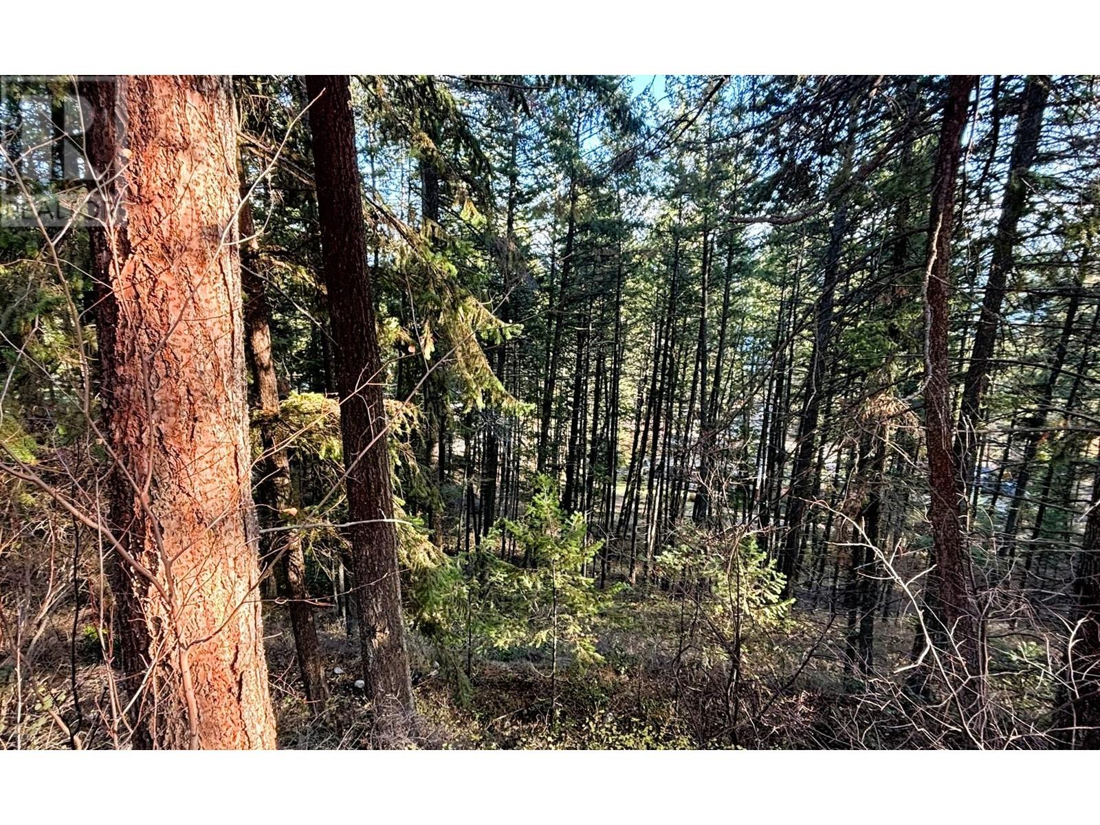  Lot 145 Keithley Road, Vernon