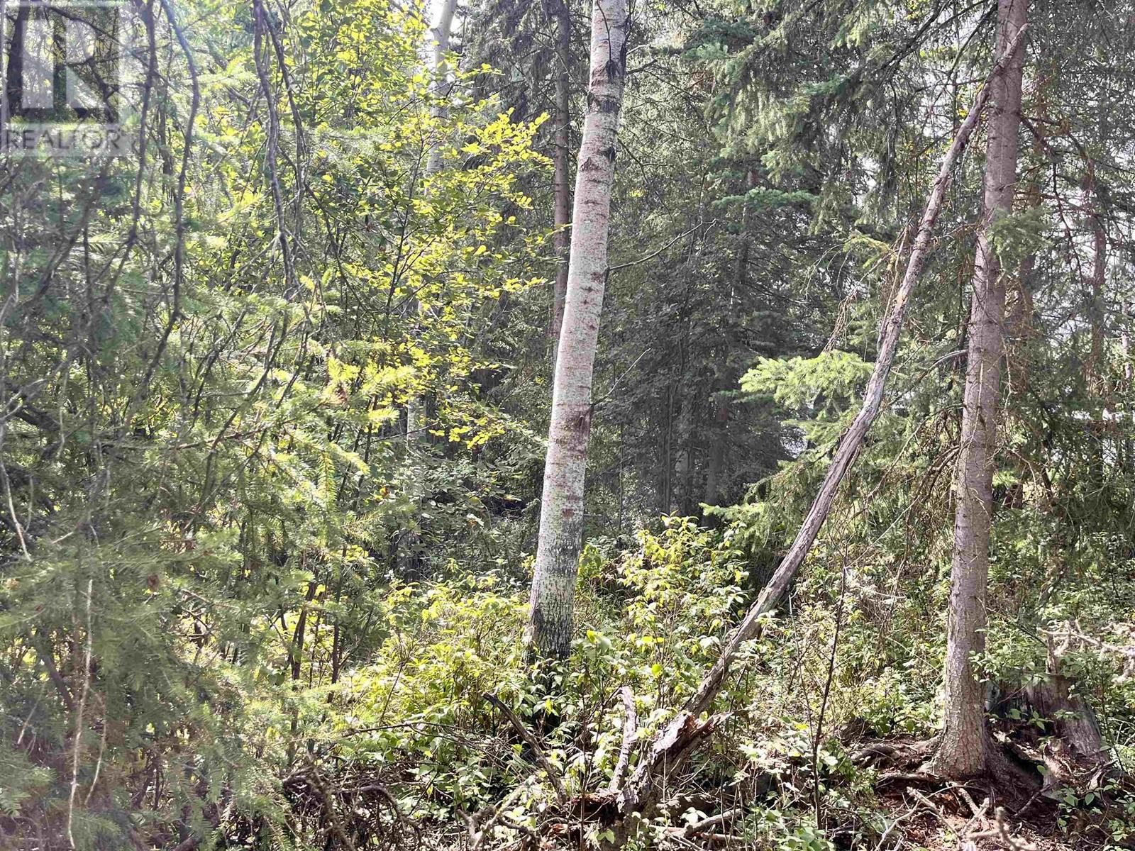 LOT 81 MULLIGAN DRIVE, Horse Lake