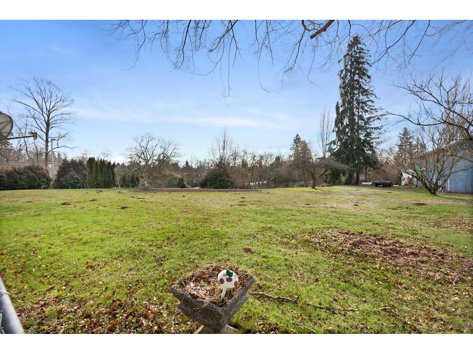 Photo 25 of 8509 188 Street, Surrey BC
