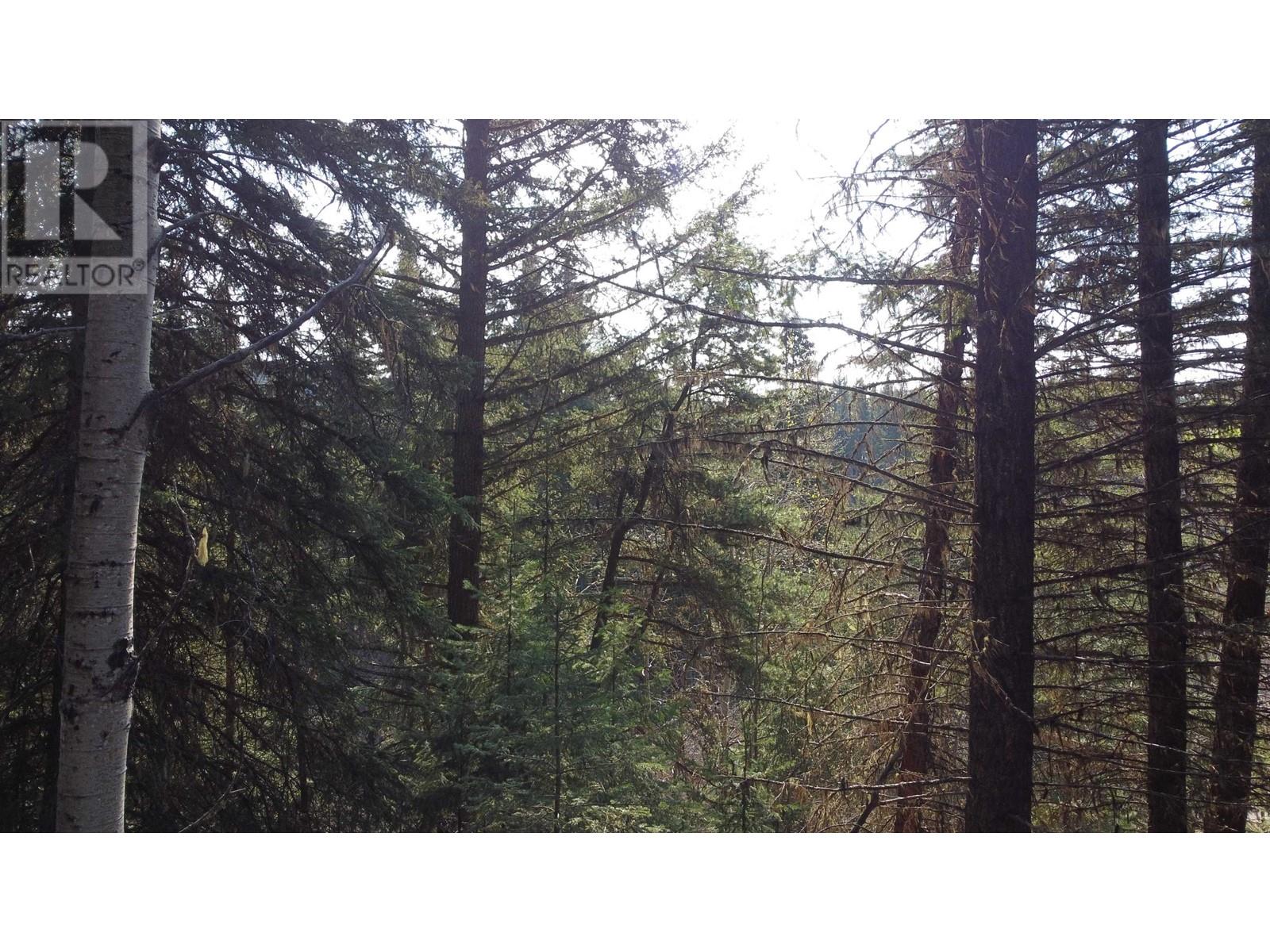 LOT B BRYCE ROAD, Forest Grove