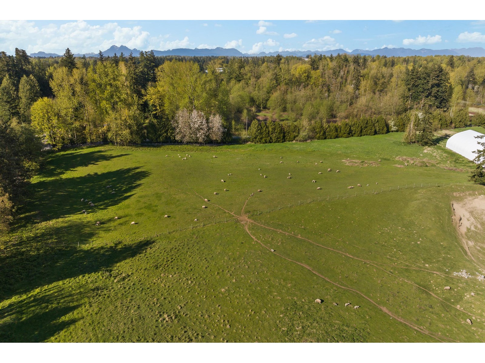 Photo 3 of 711 256 Street, Langley BC