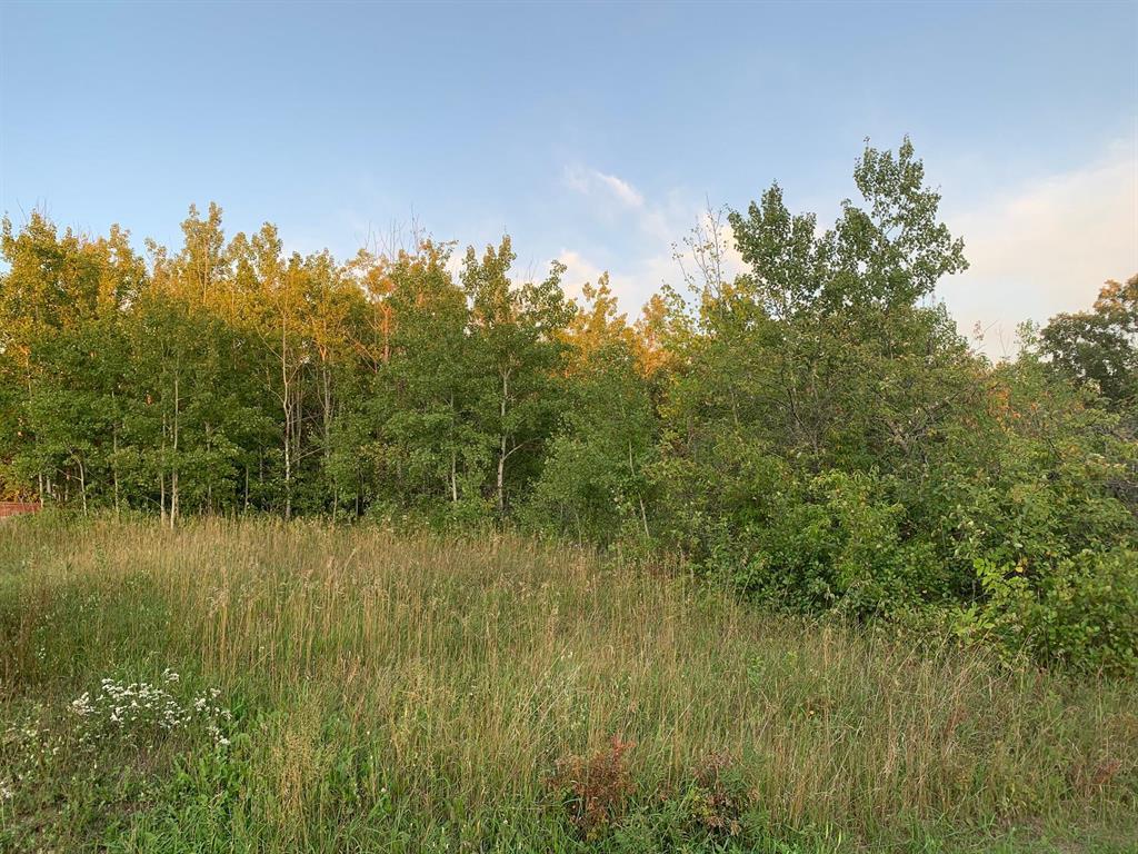 Photo 1 of 7 Thomas Cove, Lakeshore Heights MB