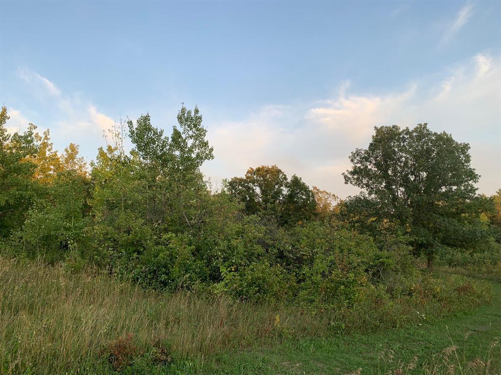Photo 2 of 7 Thomas Cove, Lakeshore Heights MB