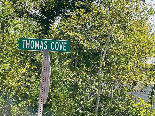 Photo 4 of 7 Thomas Cove, Lakeshore Heights MB