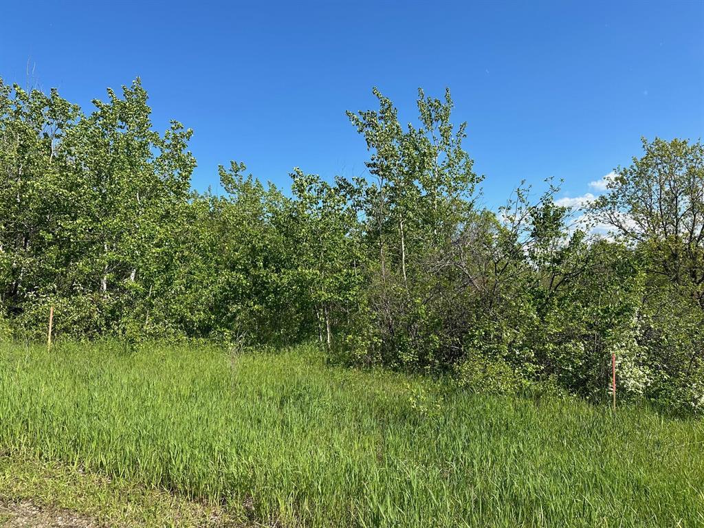 Photo 8 of 7 Thomas Cove, Lakeshore Heights MB