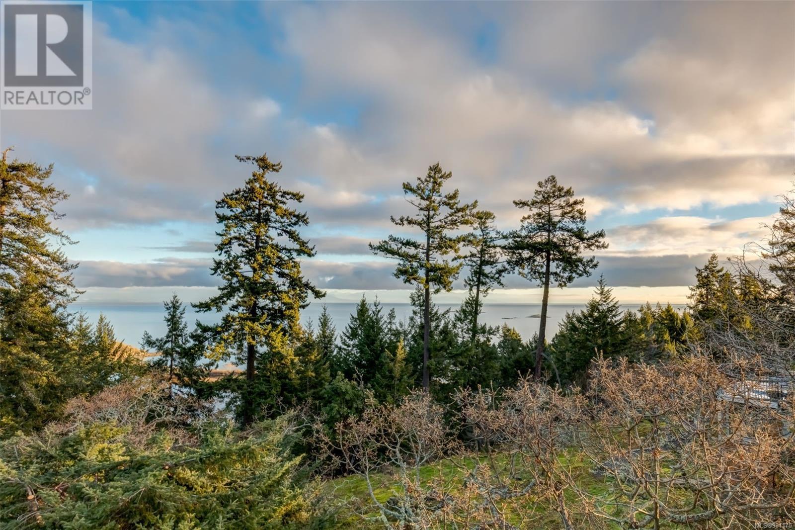 3574 Oakridge Dr, Nanaimo real estate listing 991170