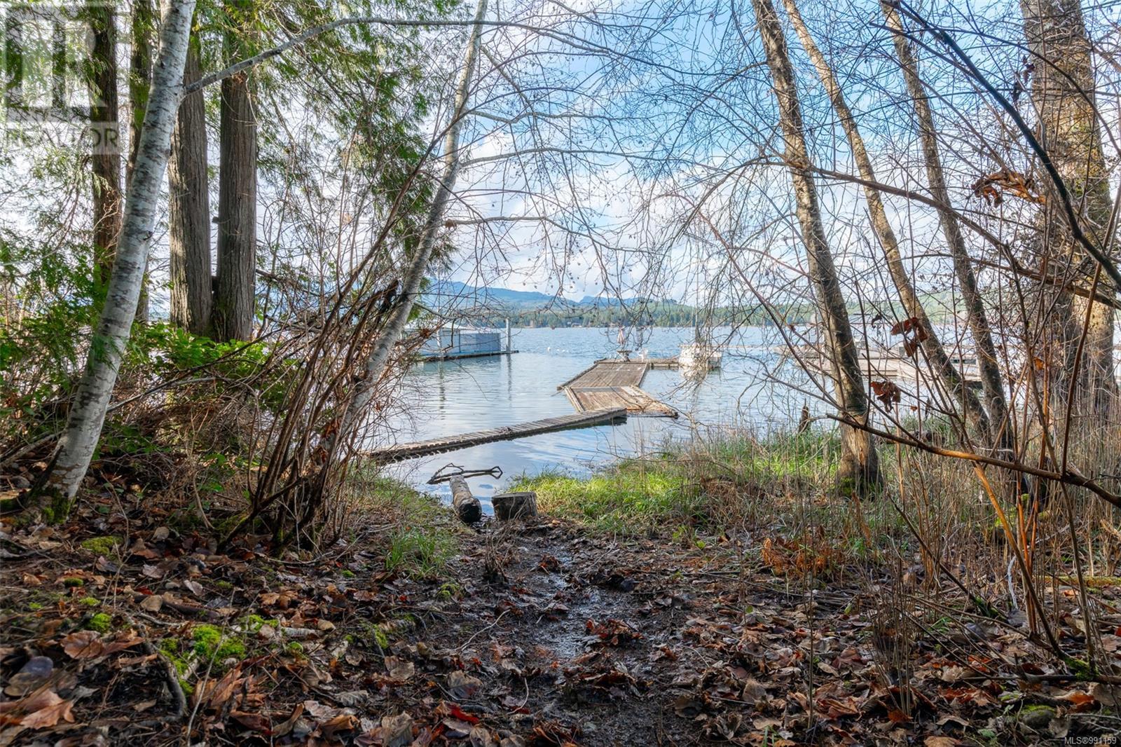 8954 Faber Rd, Port Alberni real estate listing 991159
