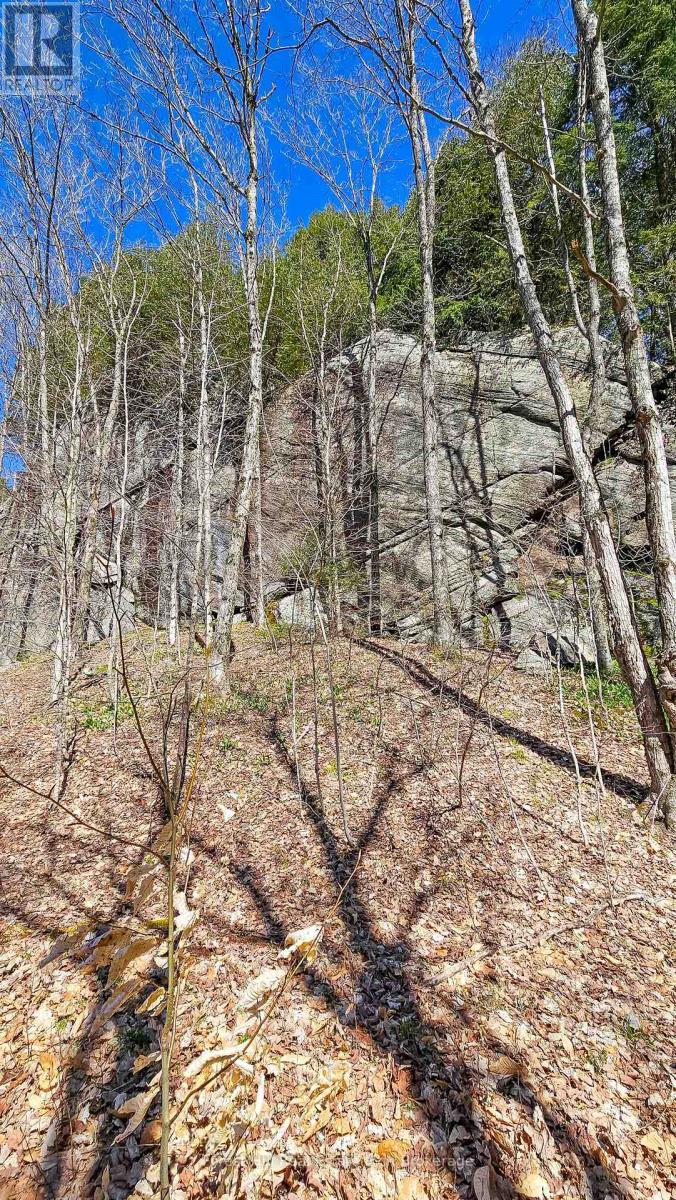Photo 10 of 115 Longs Lake Road, Huntsville ON