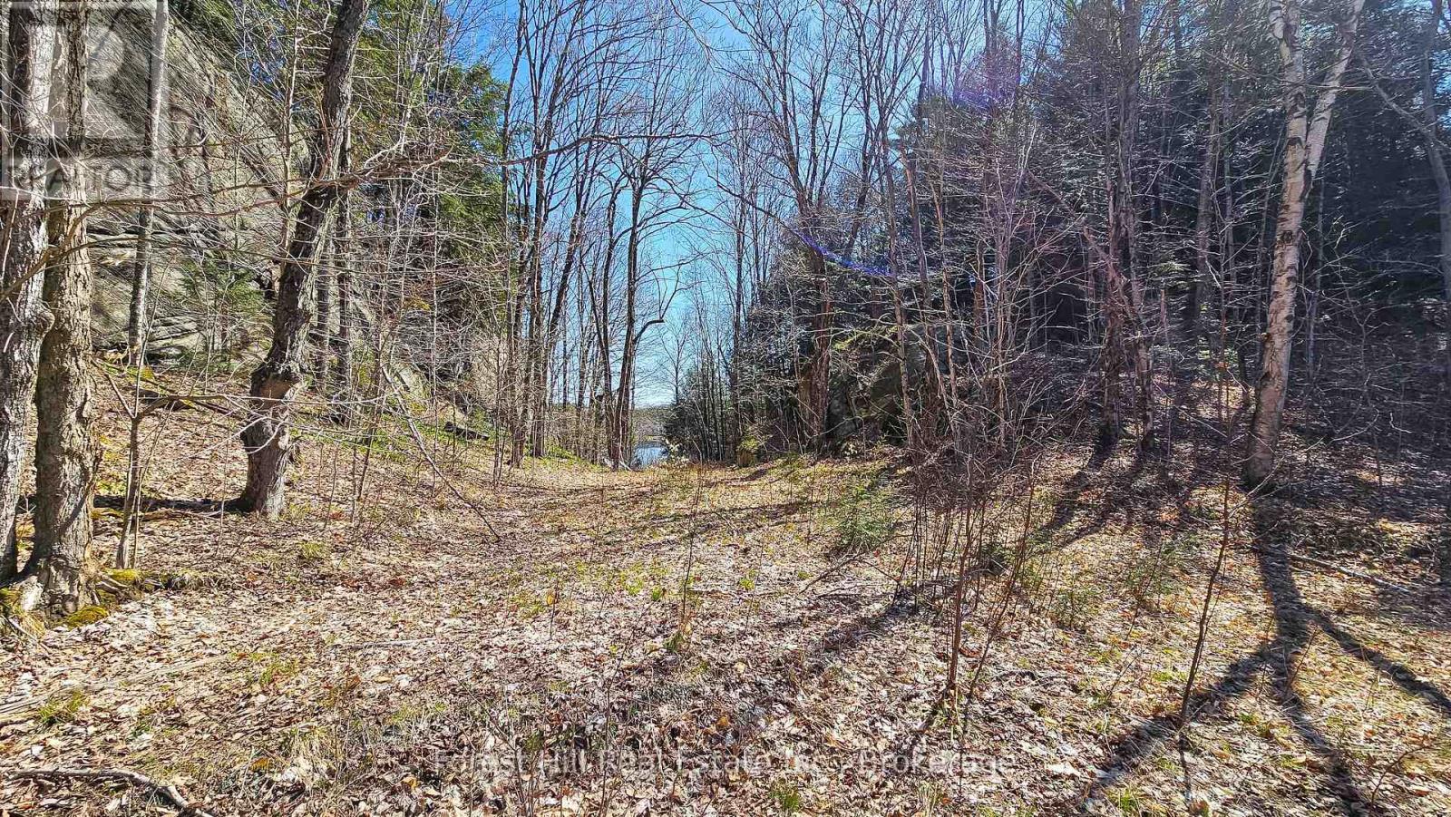 Photo 3 of 115 Longs Lake Road, Huntsville ON