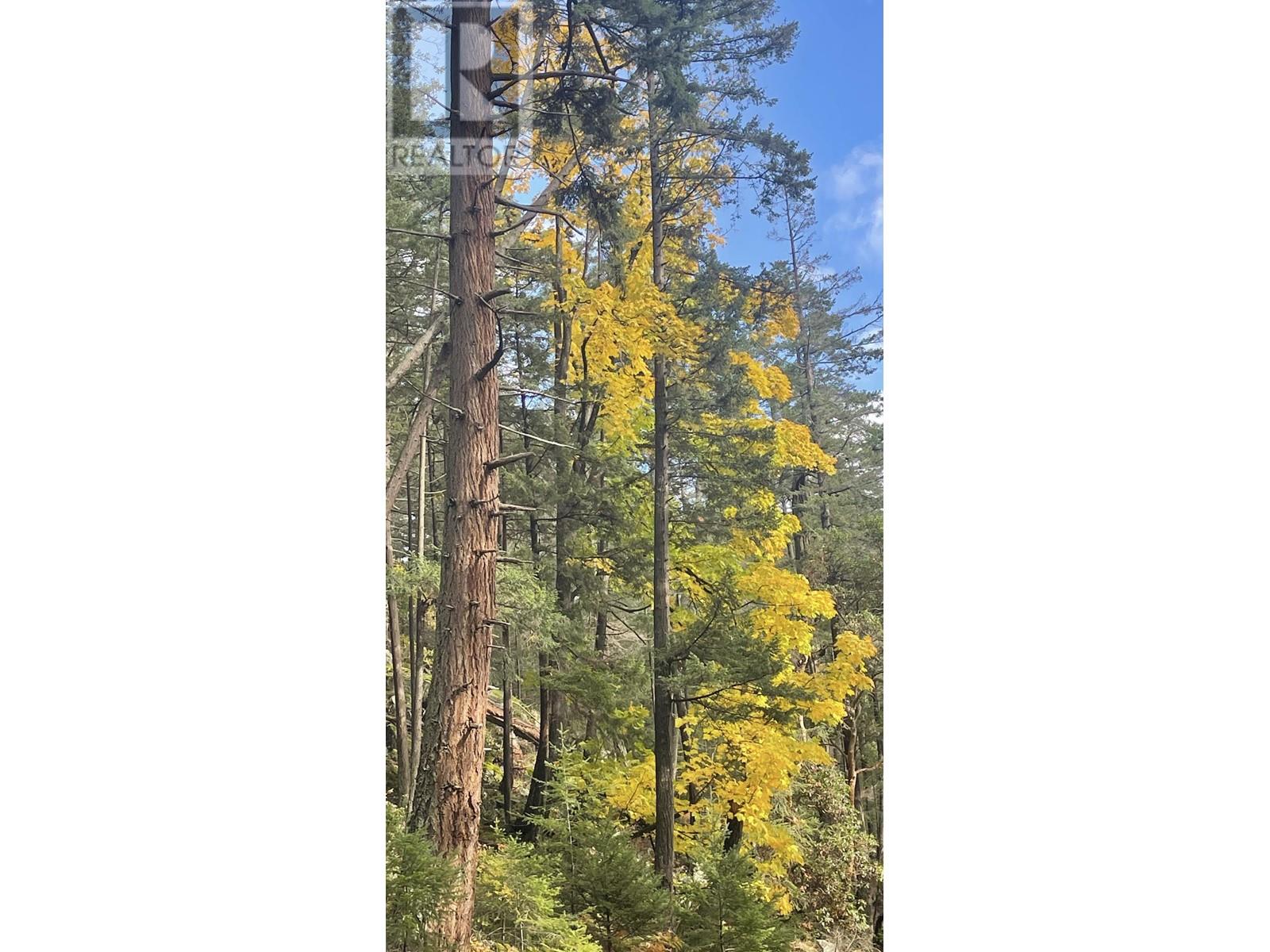 381 WATERFRONT, Bowen Island