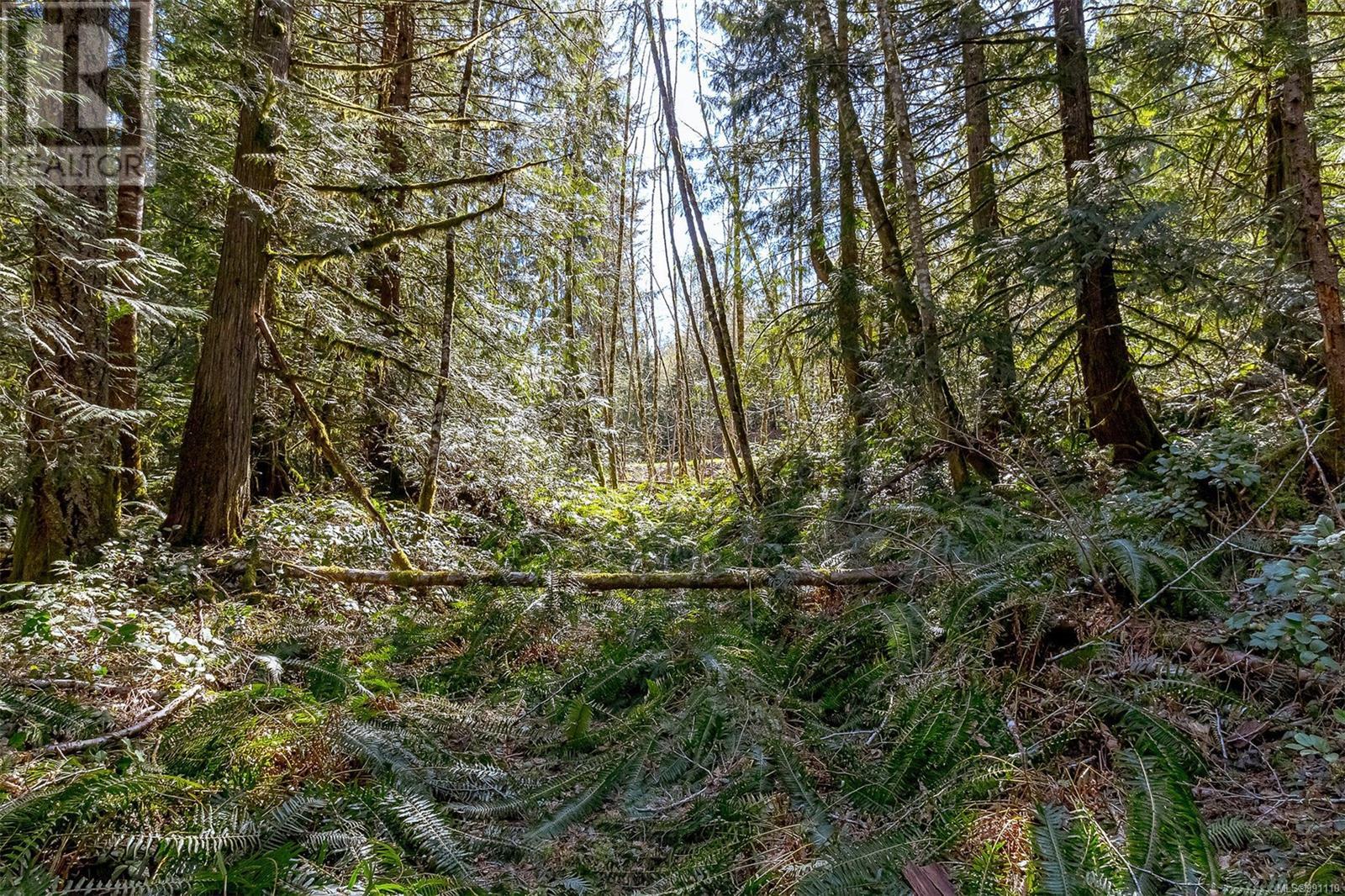 Lot 12 Mountain Rd, Duncan