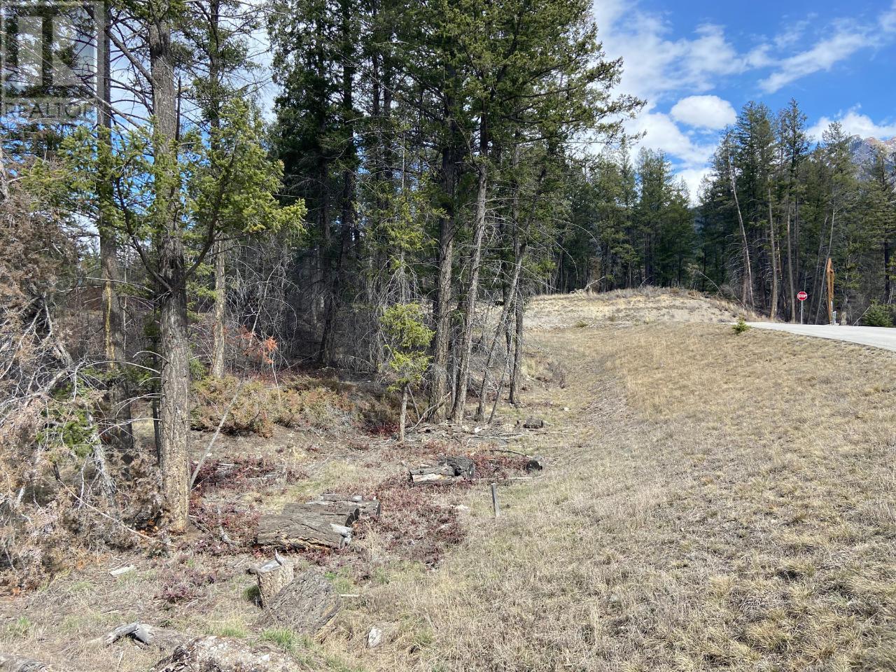 Photo 9 of Lot 22 Eaglebrook Court, Fairmont Hot Springs BC