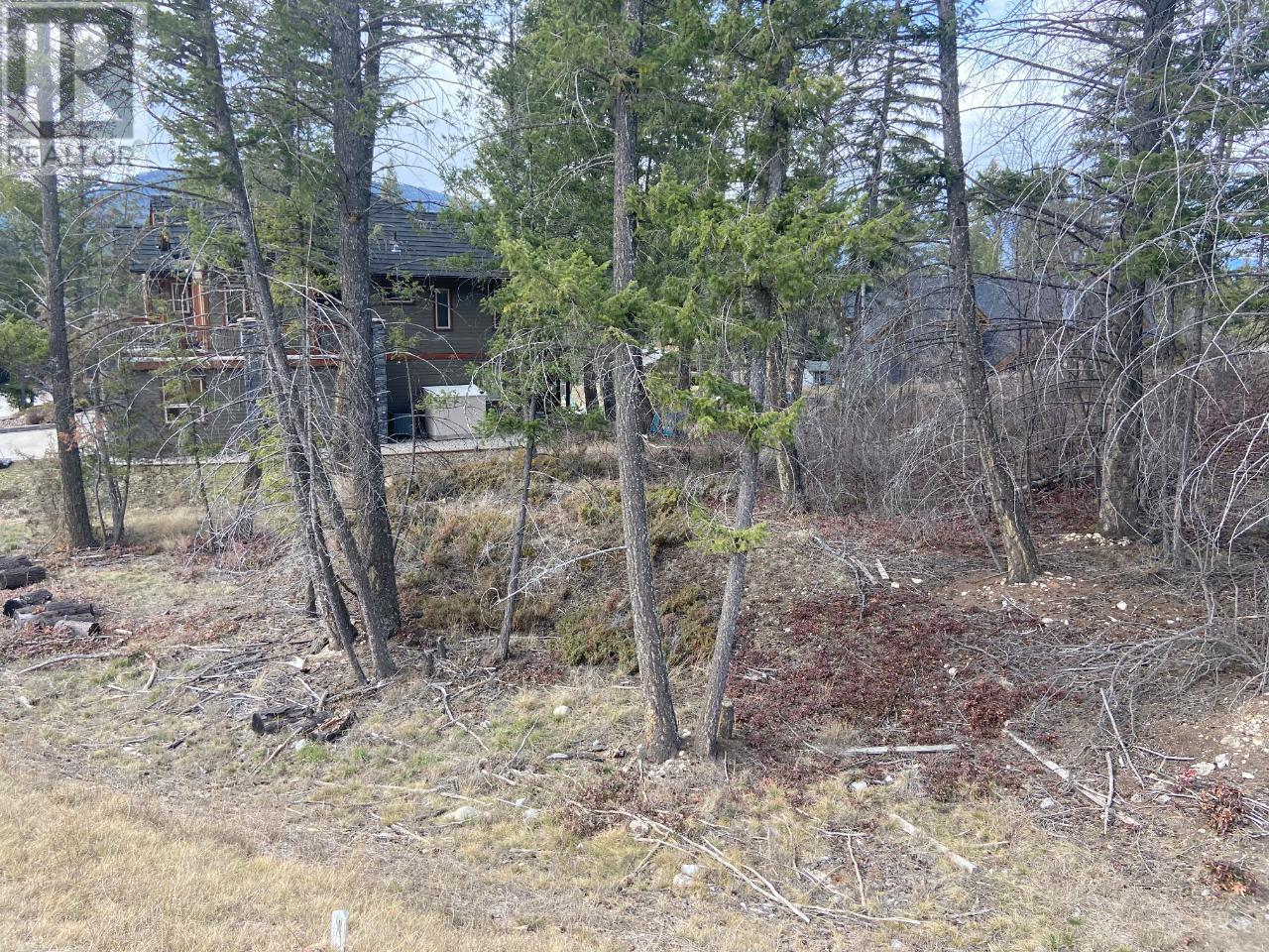 Photo 4 of Lot 22 Eaglebrook Court, Fairmont Hot Springs BC
