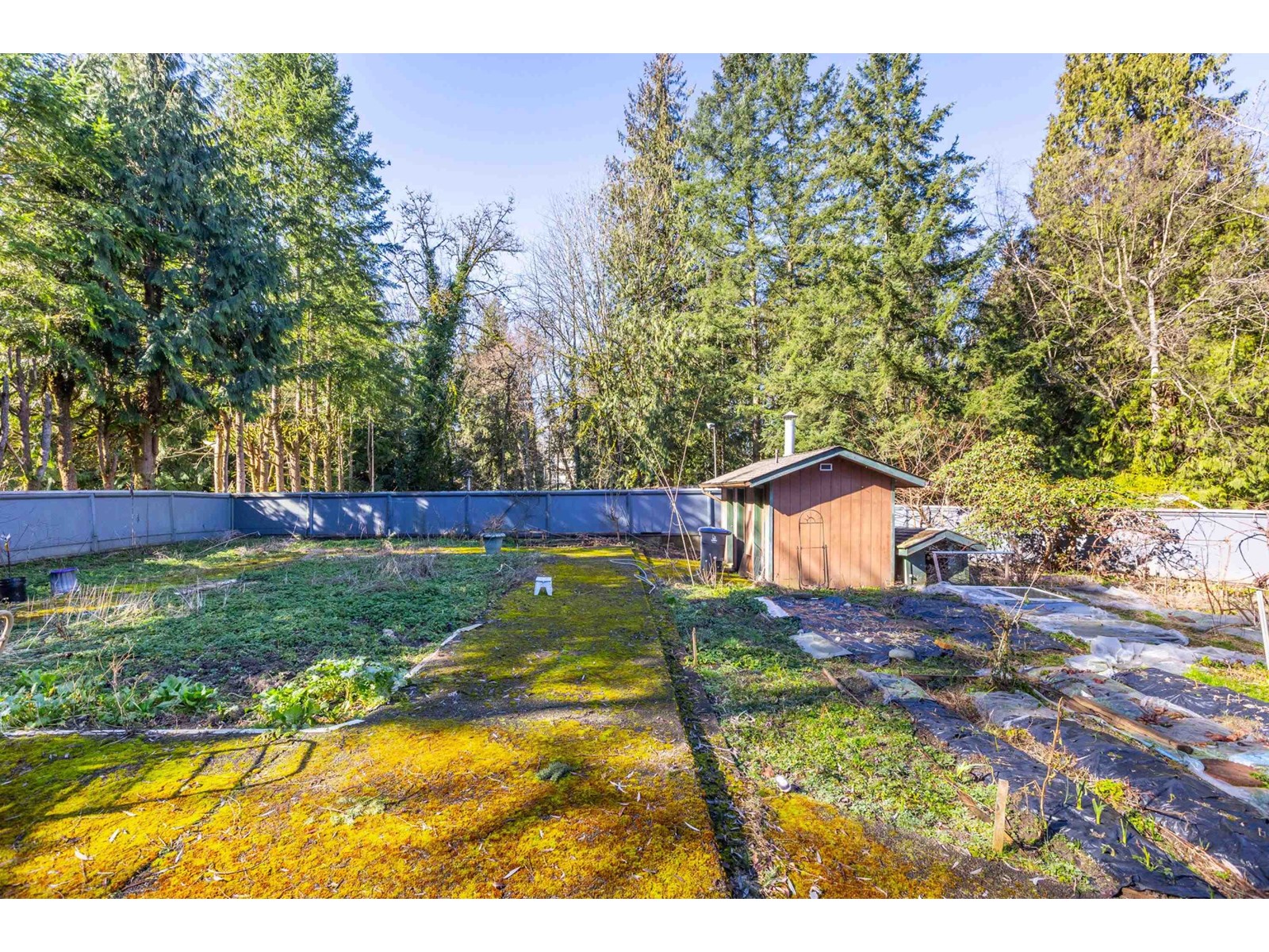 Photo 24 of 9747 161 A Street, Surrey BC