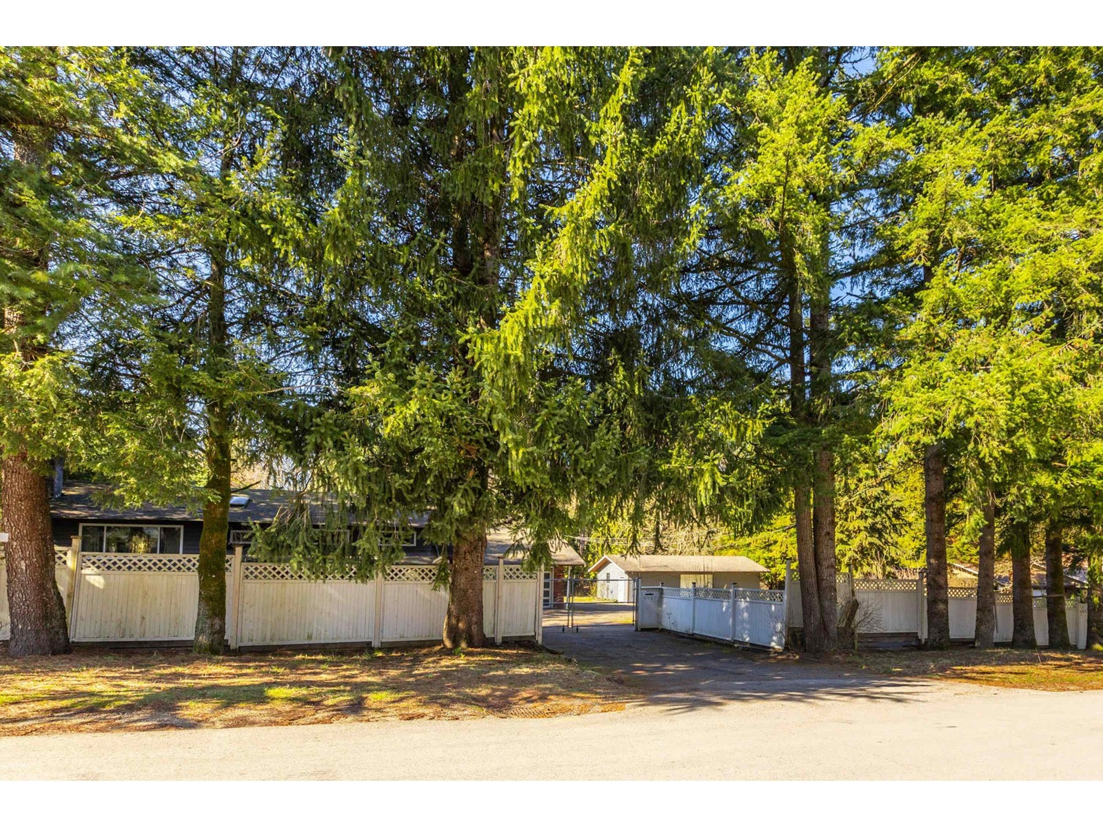 Photo 39 of 9747 161 A Street, Surrey BC