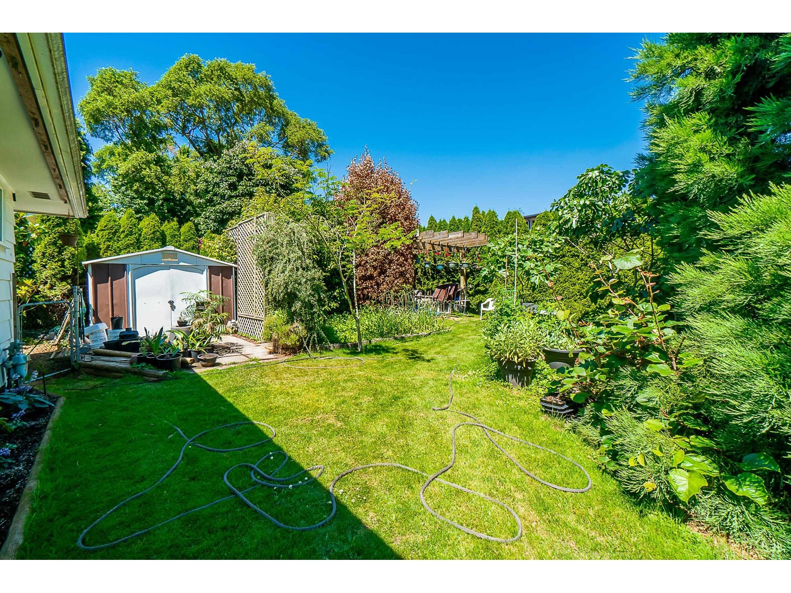 1085 BALSAM STREET, White Rock real estate listing R2976700