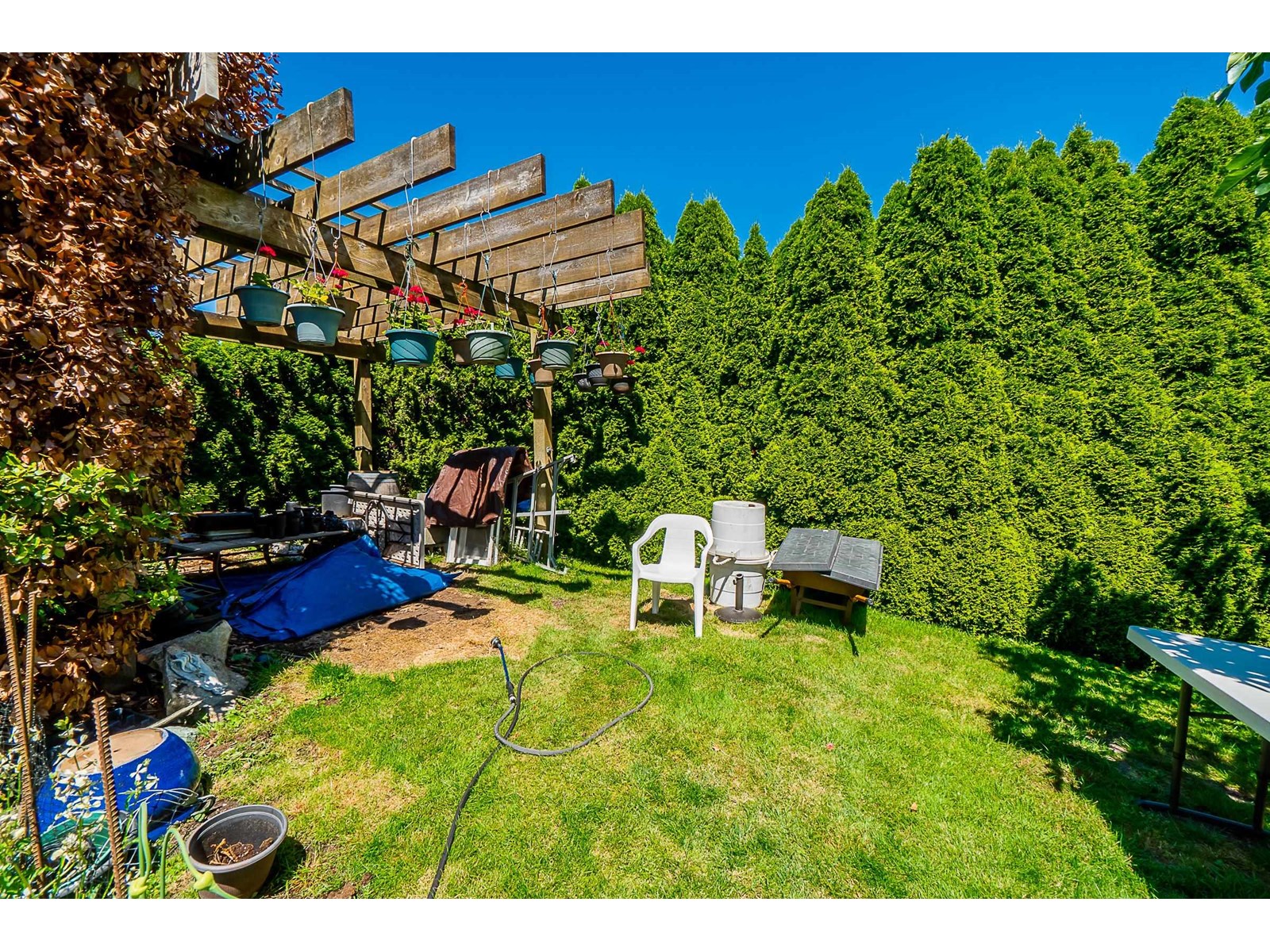 1085 BALSAM STREET, White Rock real estate listing R2976700