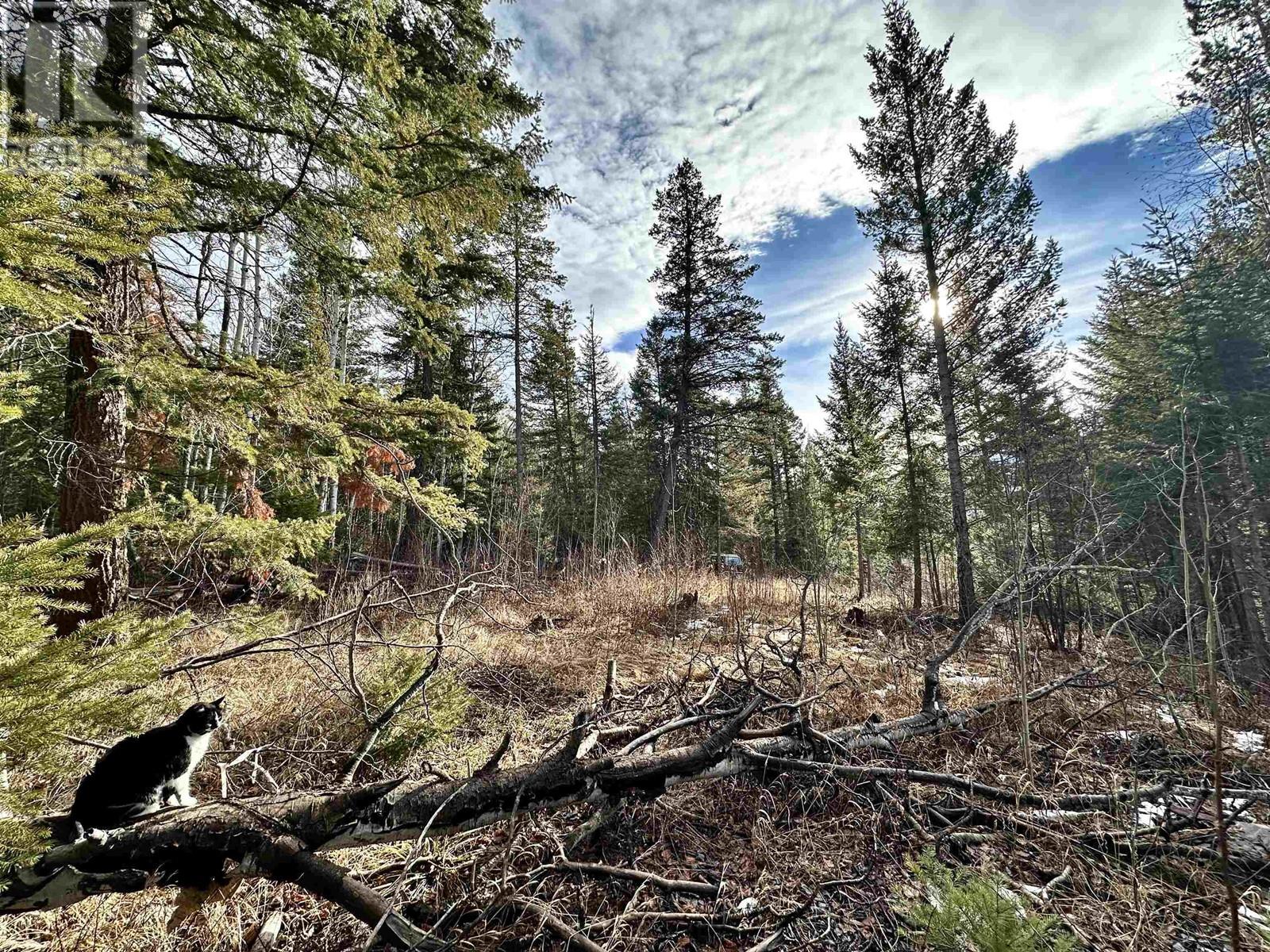 11974 ESSEN ROAD, Valemount