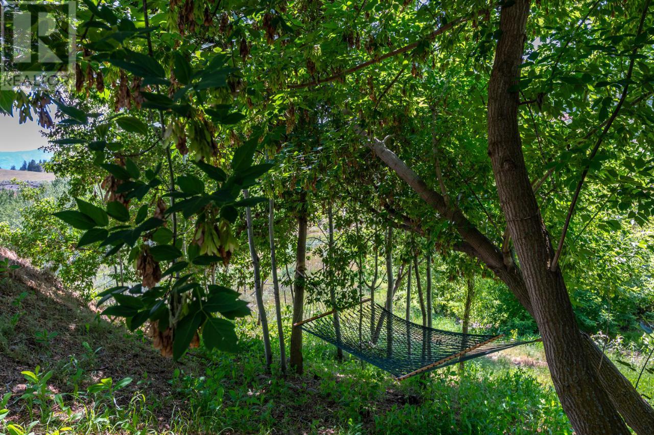 18740 OLD RICHTER PASS Road, Osoyoos