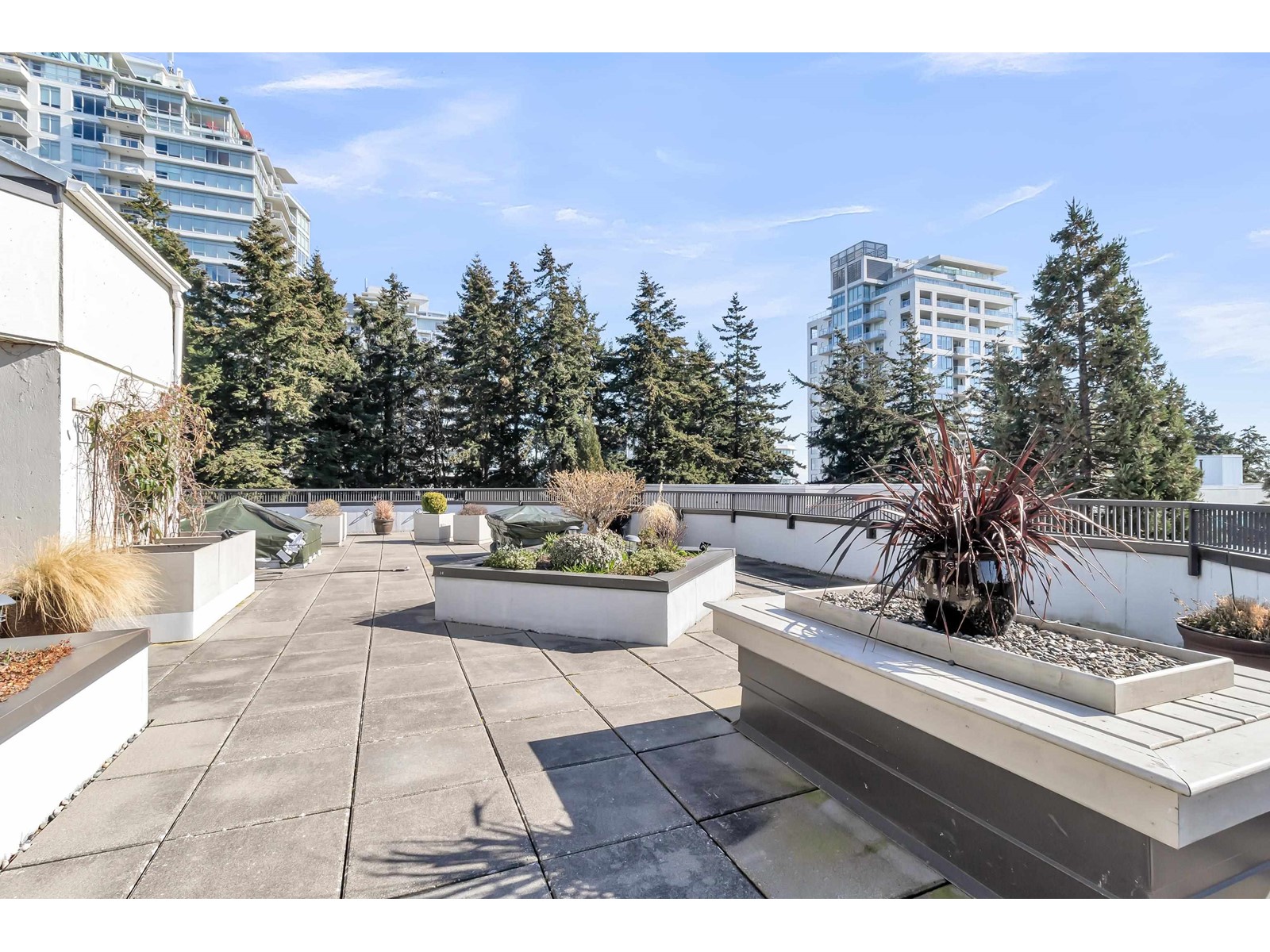 504 1480 FOSTER STREET, White Rock real estate listing R2976179