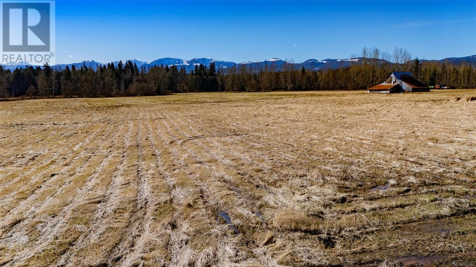 3650 Small Rd, Courtenay real estate listing 991844