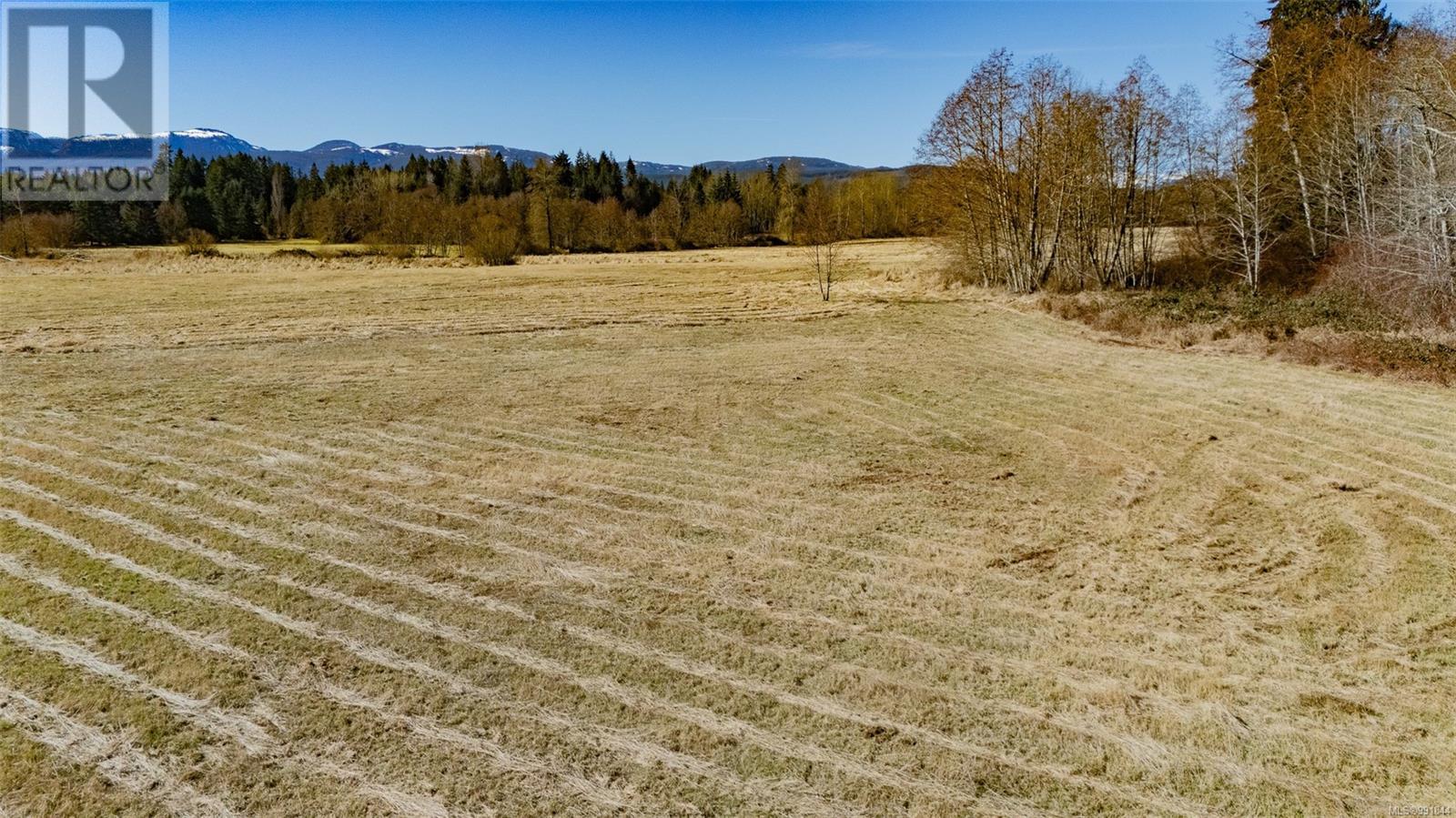 3650 Small Rd, Courtenay real estate listing 991844