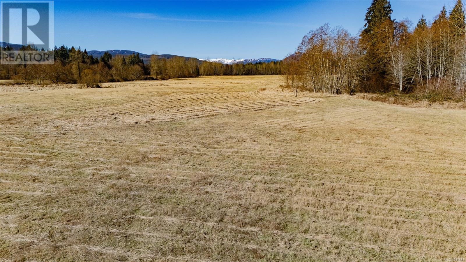3650 Small Rd, Courtenay real estate listing 991844