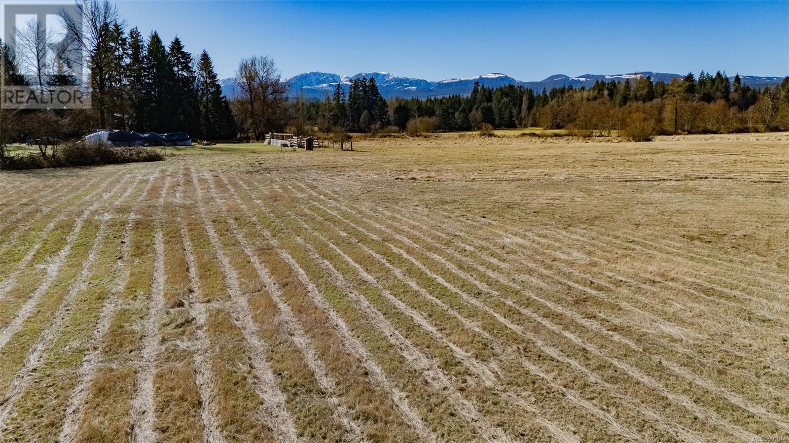3650 Small Rd, Courtenay real estate listing 991844