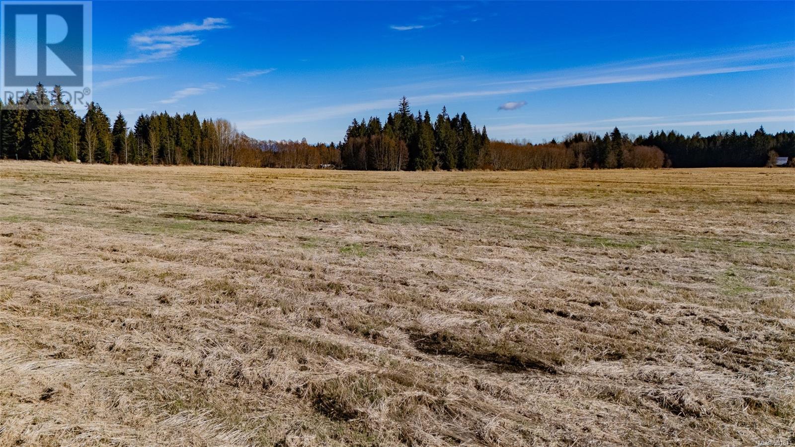 3650 Small Rd, Courtenay real estate listing 991811