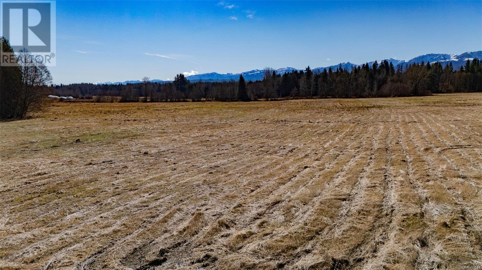 3650 Small Rd, Courtenay real estate listing 991811