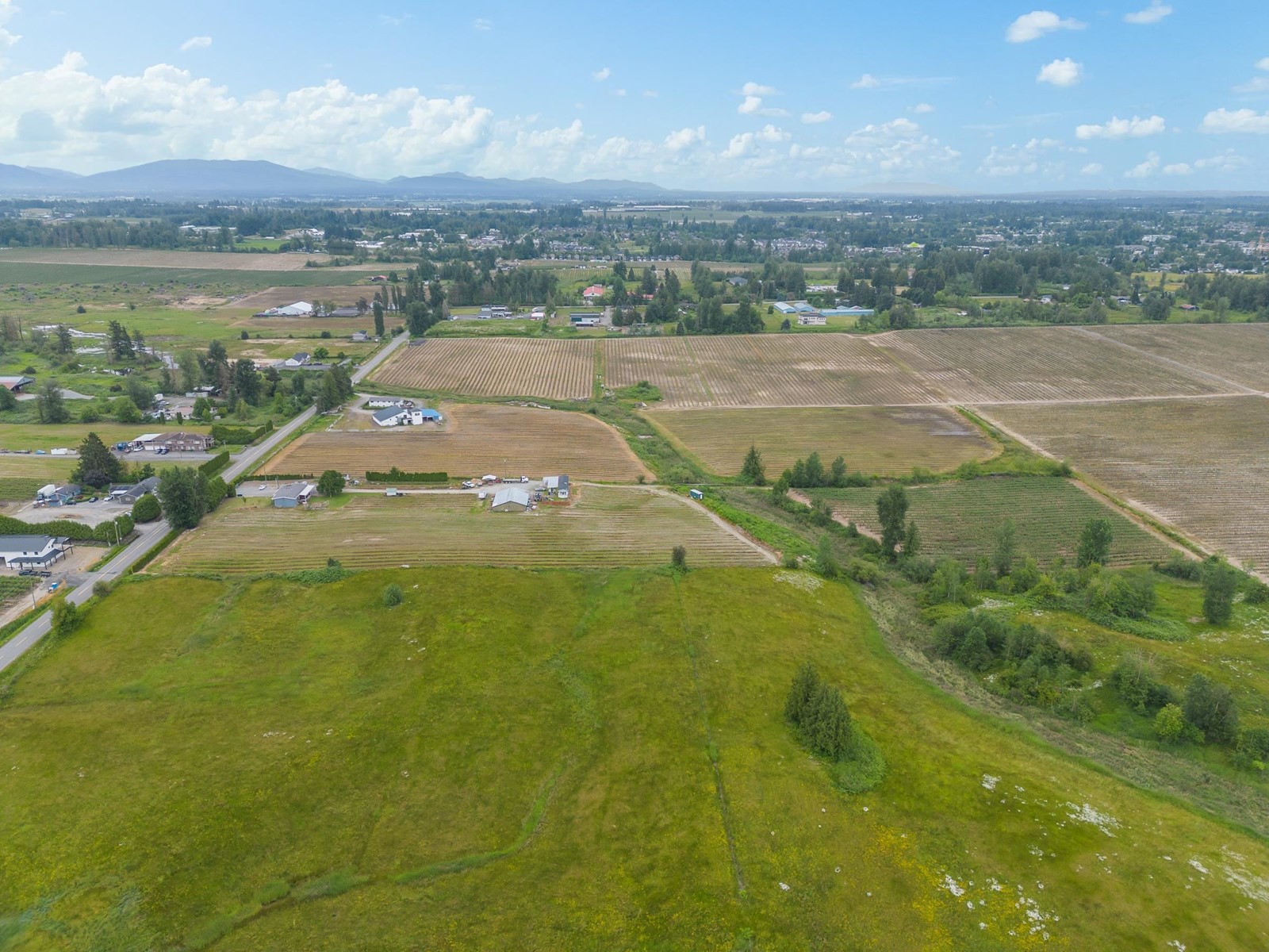 3811 LEFEUVRE ROAD, Abbotsford real estate listing R2957015
