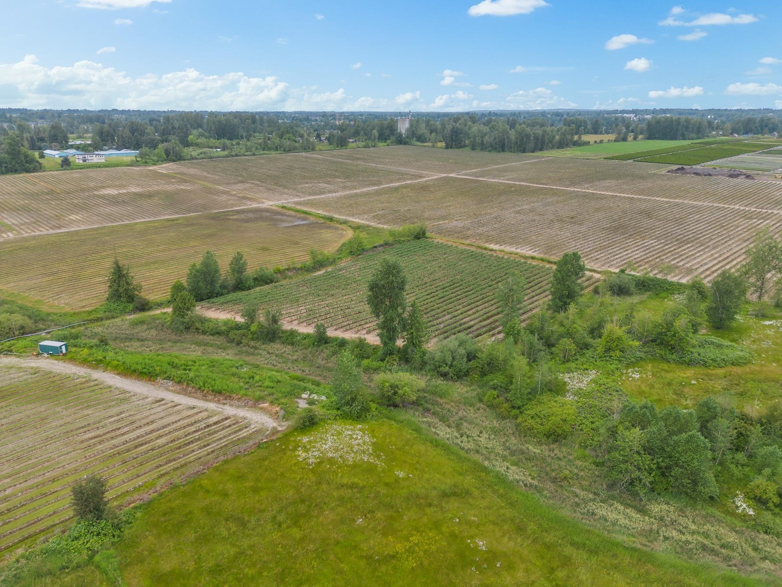 3811 LEFEUVRE ROAD, Abbotsford real estate listing R2957015