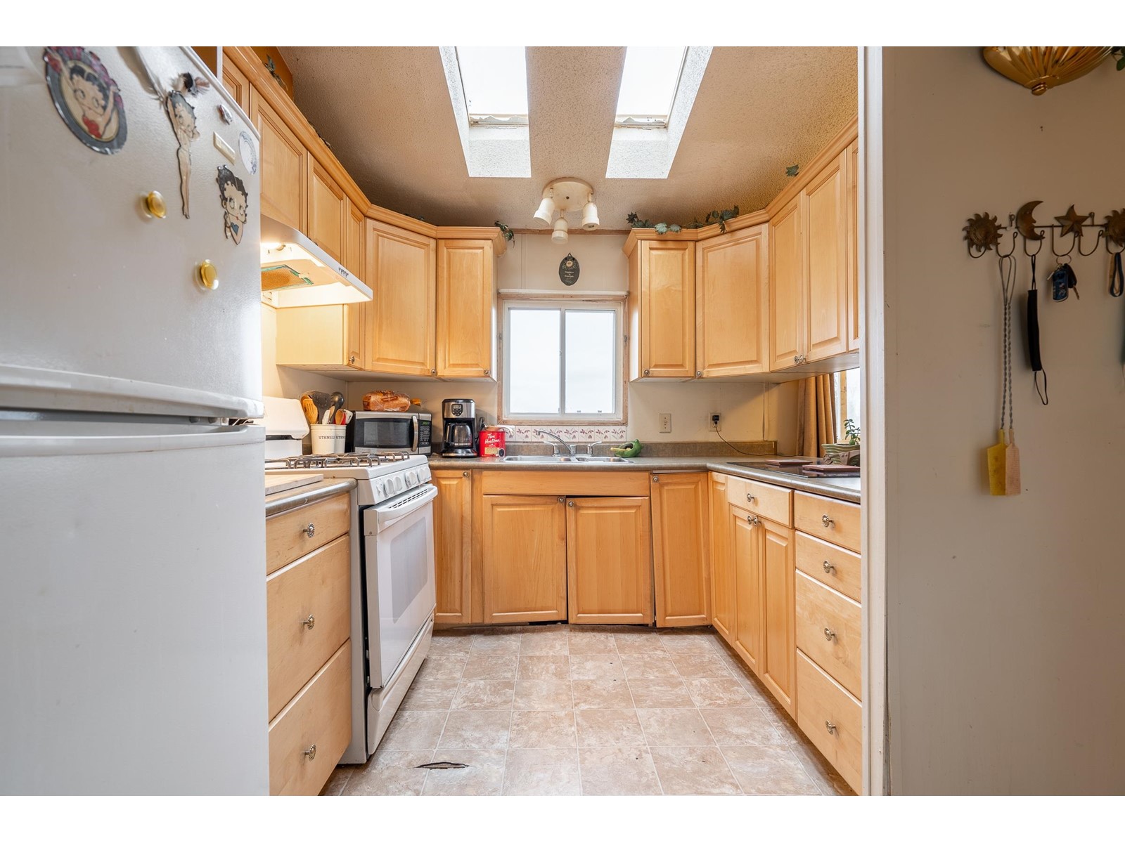 3811 LEFEUVRE ROAD, Abbotsford real estate listing R2957015