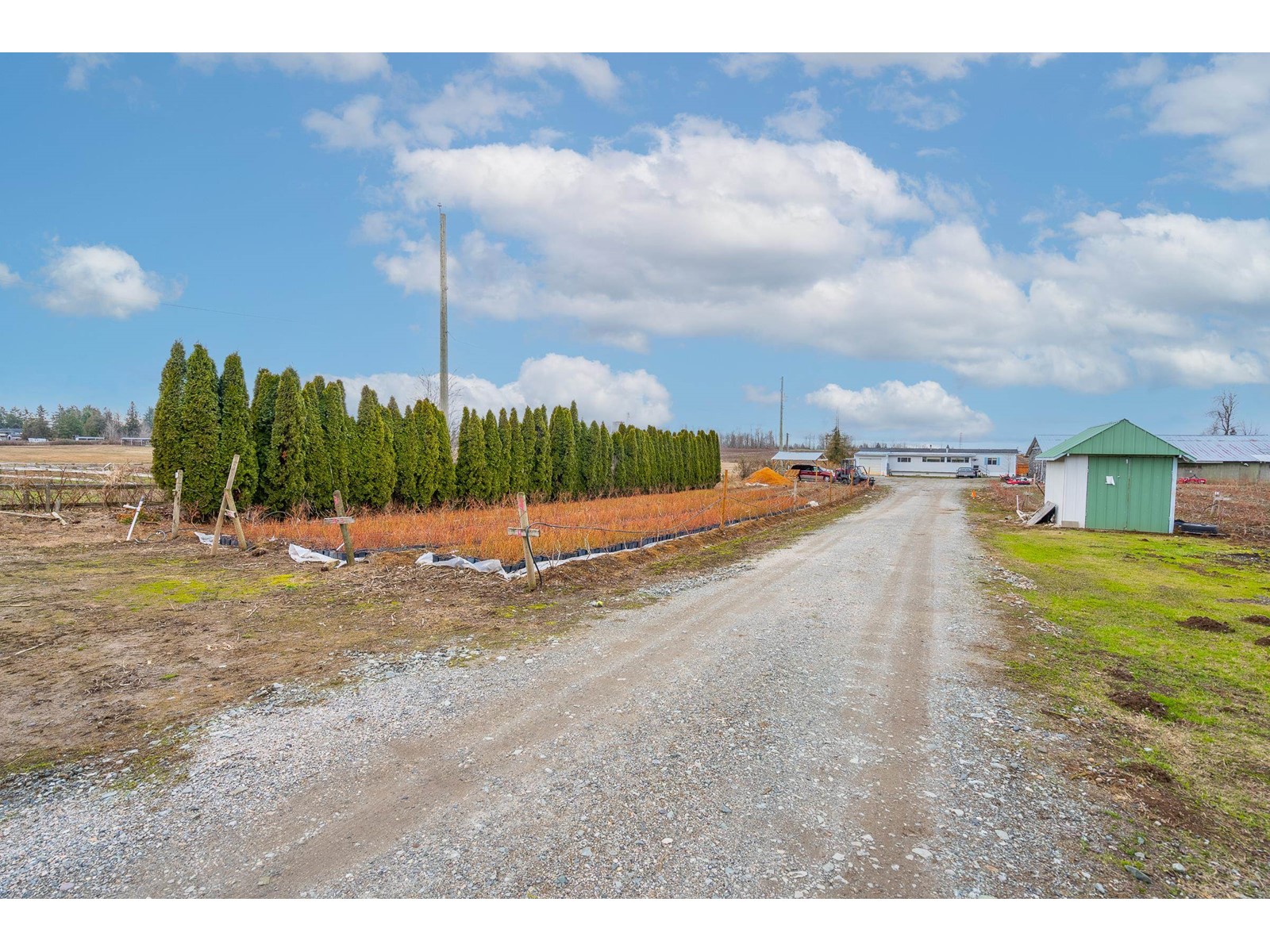 3811 LEFEUVRE ROAD, Abbotsford real estate listing R2957015