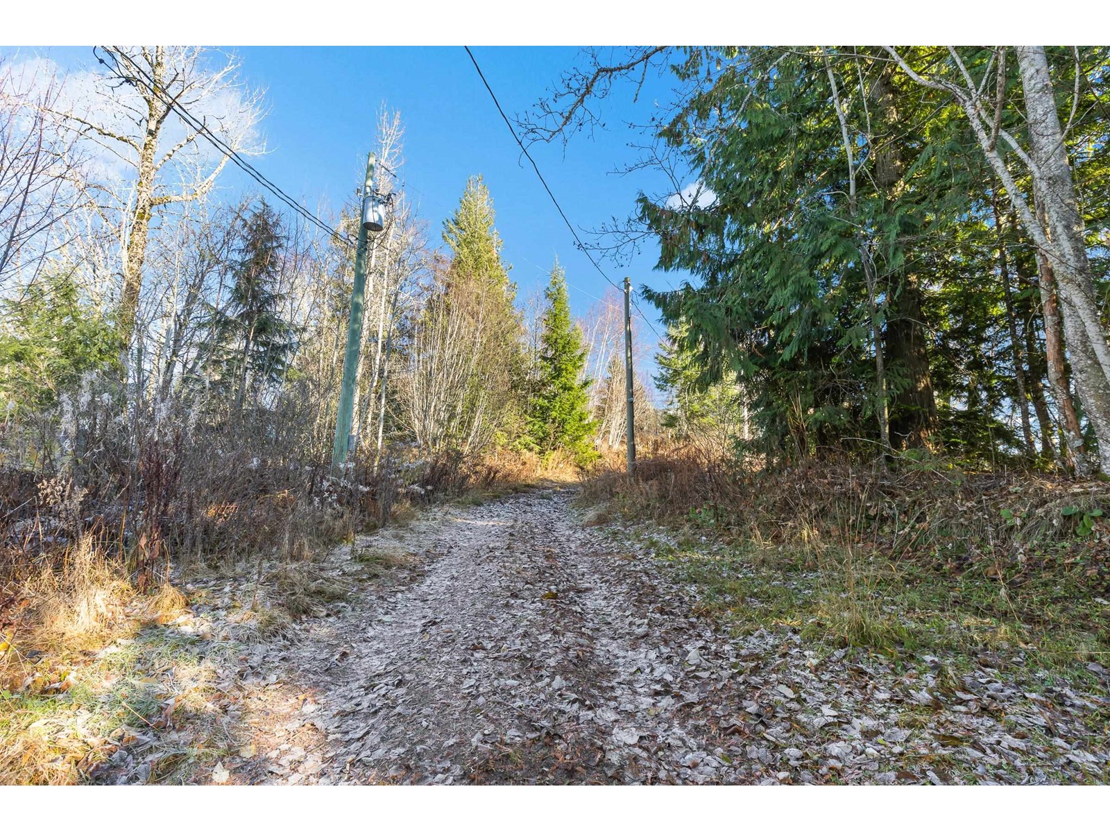49780 LOOKOUT ROAD, Ryder Lake, Chilliwack real estate listing R2958563